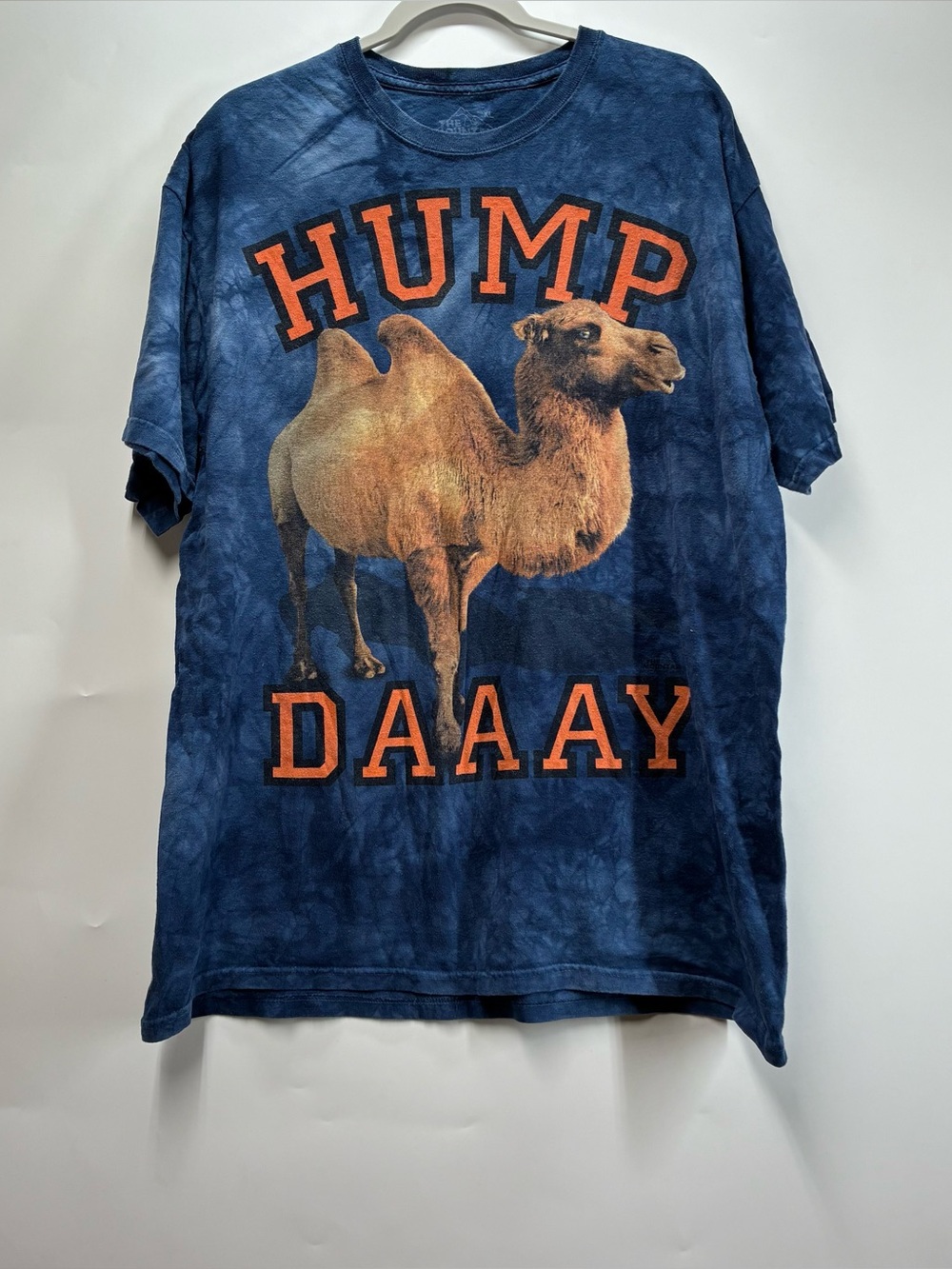 Y2K The Mountain XL 3DTees Camel Hump Day Tee Shirt Blue Tie Dye Graphic T Blue
